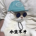 GavinZeng