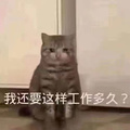 股市就是起落起落落落