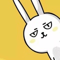 硅兔赛跑