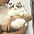 係你老豆