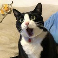 XxxxxxxxB
