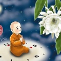 证悟君