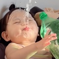 喜欢噜噜猪
