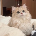 知行合一的一一