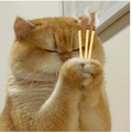 铜锣湾交艺猿