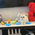 耀文港古